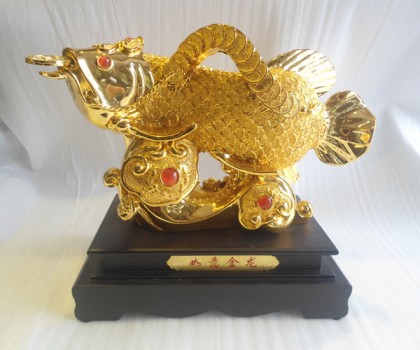 Cá kim long vàng như ý trung - như ý kim long H286G